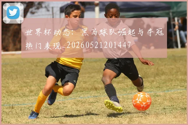 世界杯动态:黑马球队崛起与夺冠热门表现_20260521201447