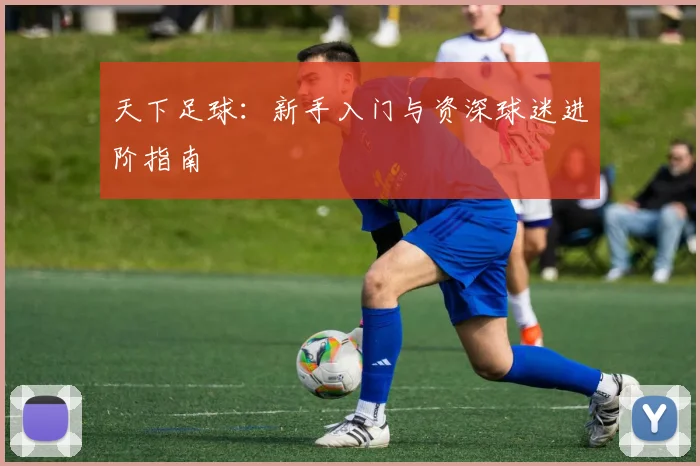 天下足球:新手入门与资深球迷进阶指南