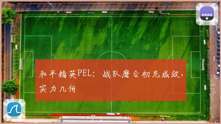 和平精英PEL：战队磨合初见成效，实力几何