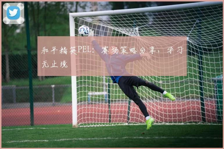 和平精英PEL：赛场策略分享，学习无止境