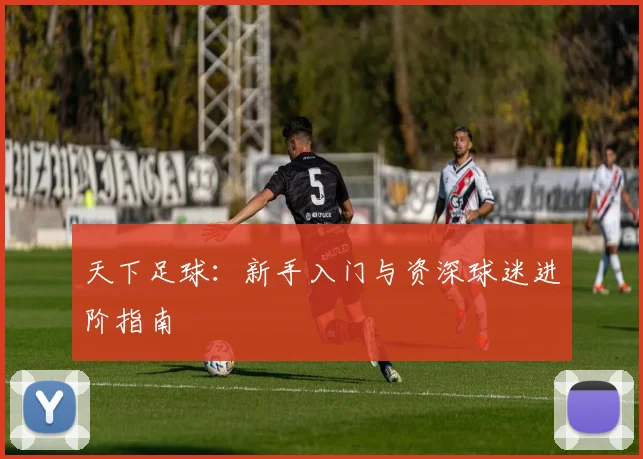 天下足球:新手入门与资深球迷进阶指南