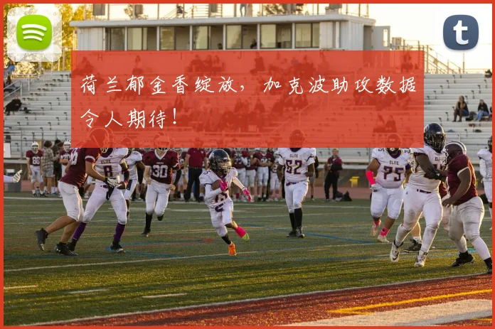 荷兰郁金香绽放,加克波助攻数据令人期待!