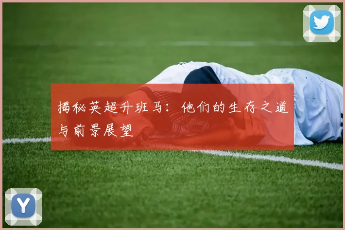 揭秘英超升班马:他们的生存之道与前景展望