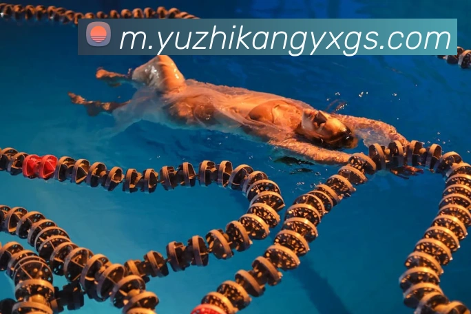奖项证书
